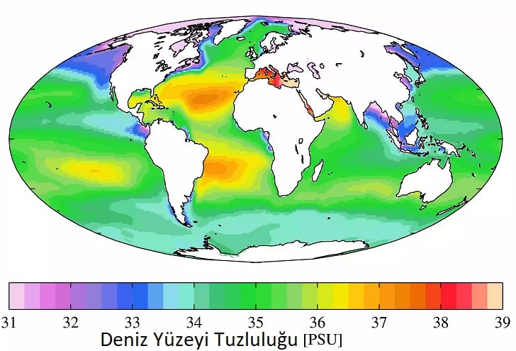 Okyanus ve Deniz Suyu Neden Tuzludur