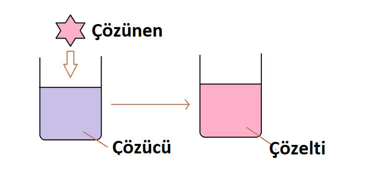 Çözücü ve Çözünen Arasındaki Farklar Nelerdir?
